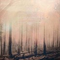 IF THESE TREES COULD TALK - Red forest - CD Digi