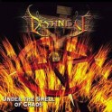 DESTINITY - Under The Smell Of Chaos - CD