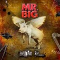 MR. BIG - What If... - CD + DVD DIGIPACK