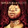 SEPULTURA - Roots - CD
