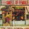 THE CRAMPS - Smell Of Female - LP 