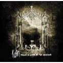 KORN - Take a look in the mirror - CD