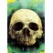 KRUX - LIVE - DVD