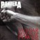 PANTERA - Vulgar Display Of Power - CD + DVD