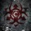 CHIMAIRA - The Infection - CD