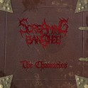 SCREAMING BANSHEE - The Chronicles - Mini CD