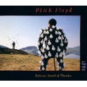 PINK FLOYD - Delicate Sound Of Thunder - 2-CD 