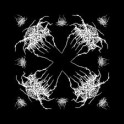 DARKTHRONE - Logo - Bandana