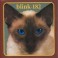 BLINK 182 - Cheshire Cat - CD