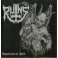 RUINS - Baptized In Hell - CD