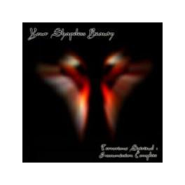 YOUR SHAPELESS BEAUTY - Terrorisme Spirituel Insoumission Complete - CD