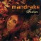 MANDRAKE - Forever - CD