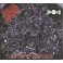 MORBID ANGEL - Altars of Madness - CD Digi 