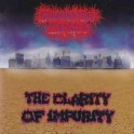 SUMMERTIME DAISIES - The Clarity Of Impurity - CD