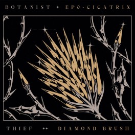 BOTANIST / THIEF - EP0 Cicatrix / Diamond Brush - Split LP