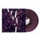 PLEBEIAN GRANDSTAND - Rien Ne Suffit - 2-LP Purple Black Galaxy