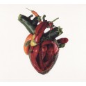 CARCASS - Torn Arteries - CD Digi