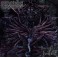 DIVINE EMPIRE - Doomed To Inherit - CD