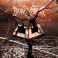 BORKNAGAR - Epic - LP Clear w/ Black & Orange Splatter