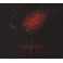 DAYLIGHT DIES - Dismantling Devotion - CD Fourreau