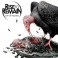 RISE TO REMAIN - City Of Vultures - CD