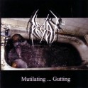DECAY - Mutilating ... Gutting - CD