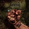 SCENT OF FLESH - Valor In Hatred - CD