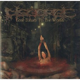 DISGORGE - Gore Blessed To The Worms - CD 