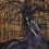LUNGORTHIN - Morgrom - CD
