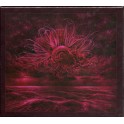 IN MOURNING - Garden Of Storms - BOX CD