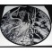 DISGRACE - Inside The Labyrinth Of Depression - Mini LP 10" Etched