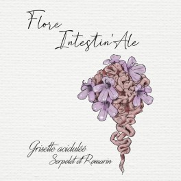 HaarddrëcH 'Flore Intestin'Ale' Grisette Acidulée 33cl 4° Alc