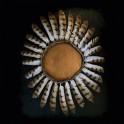 FAUNA - Avifauna - 2-LP Gold Gatefold