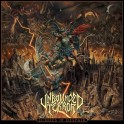 UNBOUNDED TERROR - Echoes Of Despair - CD