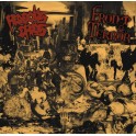 HIDEOUS CHAOS / FROM TERROR - Split LP - LP Randomly Colored