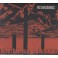 DELIVERANCE - Neon Chaos In A Junk​-Sick Dawn - CD Digi