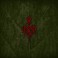 WARDRUNA - Runaljold - Yggdrasil  - CD Fourreau