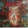 LOUDBLAST - Sensorial Treatment - LP Transparent Rouge