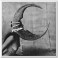 GHOST BATH - Moonlover - CD