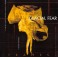GLACIAL FEAR - Frames - CD
