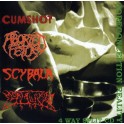 GORECONCEPTION REALITY - Cumshot / Aborted Fetus / Scybala / Mortalized - 4 Way Split CD