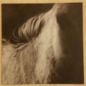 LES DISCRETS - Live At Roadburn - LP