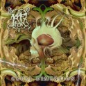 1917 - Cruel Dimension - CD