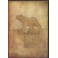 MARIE CACHET & VARG VIKERNES - Fore Bears - DVD