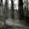 GALLOWBRAID - Ashen Eidolon - Mini CD