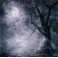 GRAVE FLOWERS - Incarcerated Sorrows - CD