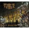IMMORTAL RITES - Art Of Devolution - CD Digi
