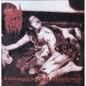INFECTED FLESH - Anthropophagical Devourment - CD