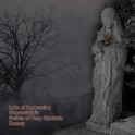 LAKE OF DEPRESSION/CREPUSCULARIA/SOURCE OF DEEP SHADOWS/ Квазар - Infinity In Soul CD - I - Split CD