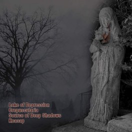 LAKE OF DEPRESSION/CREPUSCULARIA/SOURCE OF DEEP SHADOWS/ Квазар - Infinity In Soul CD - I - Split CD